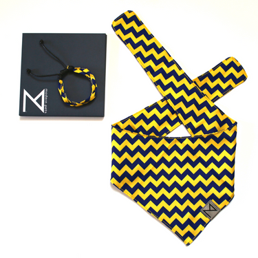 Premium Designer Dog Bandana with Matching Bracelet